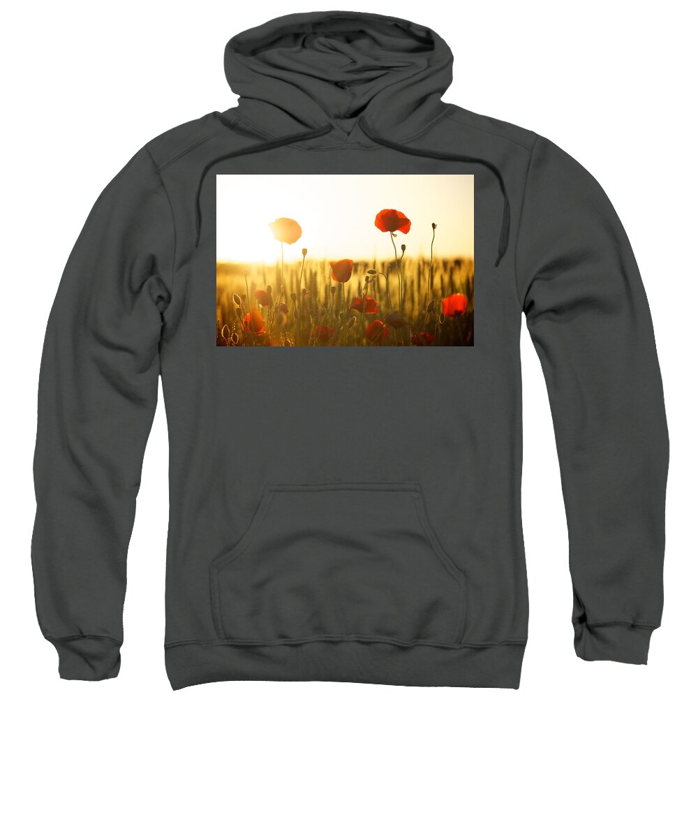 Flower Sweatshirt featuring the photograph Field of poppies at dawn by Top Wallpapers