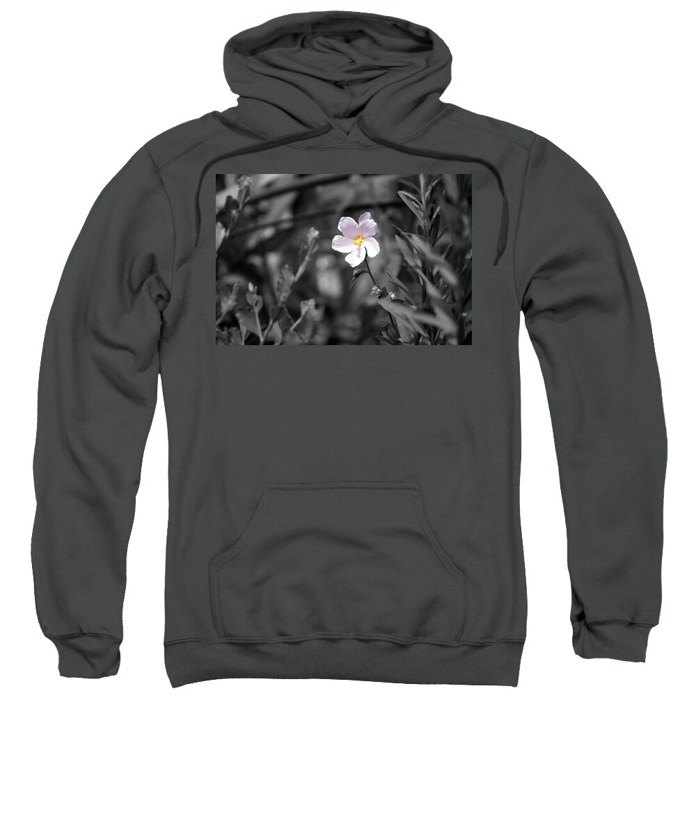 Florida Sweatshirt featuring the photograph Find the Beauty by Lindsey Floyd