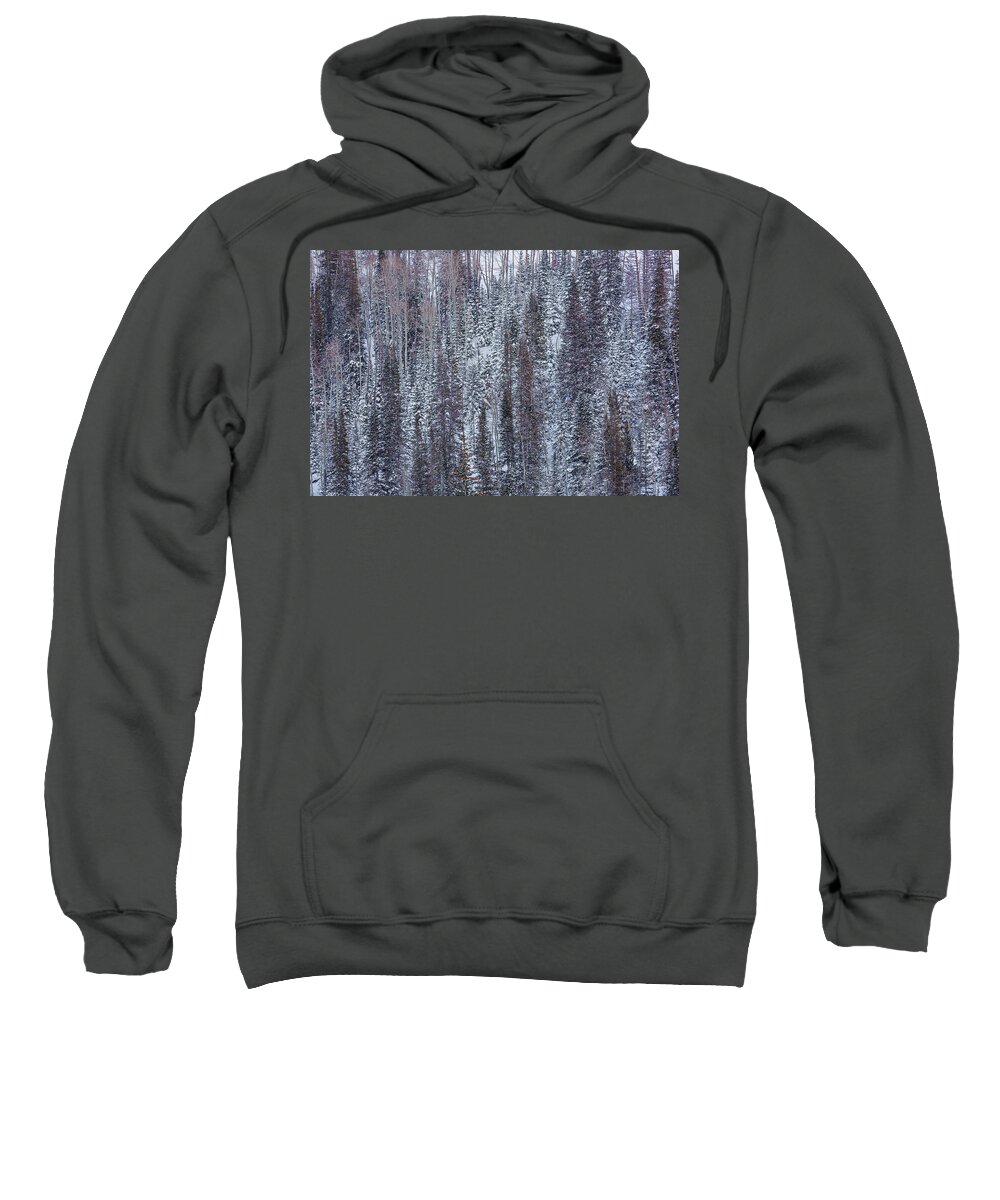 Park City Sweatshirt featuring the photograph Forest in Winter by Donna Twiford