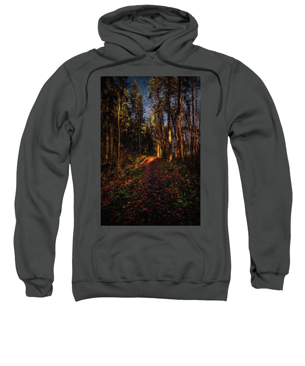 Forest Light Sweatshirt featuring the photograph Forest light #i1 by Leif Sohlman