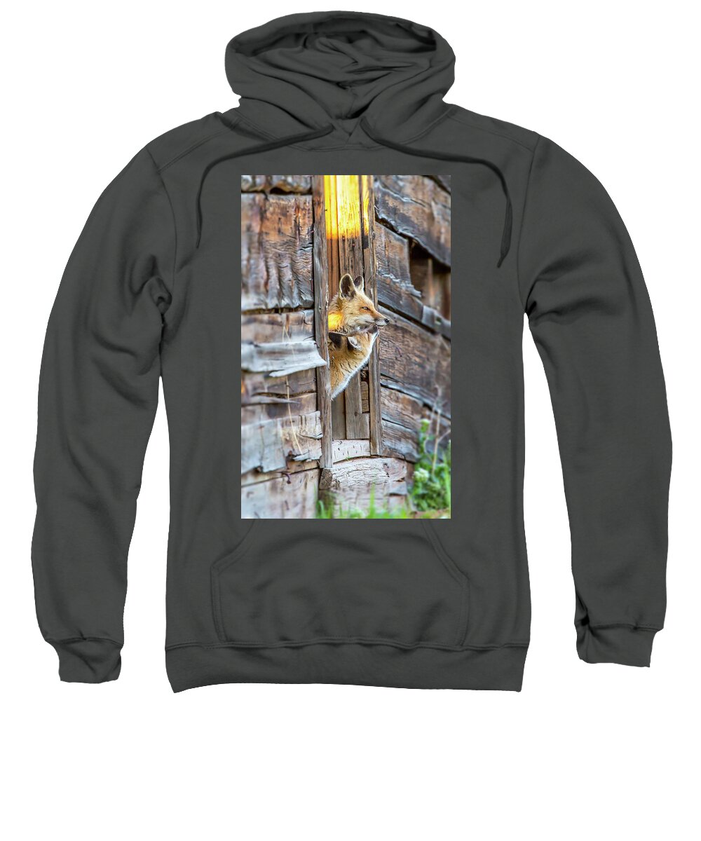 2015 Sweatshirt featuring the photograph Butterfly Kisses by Kevin Dietrich