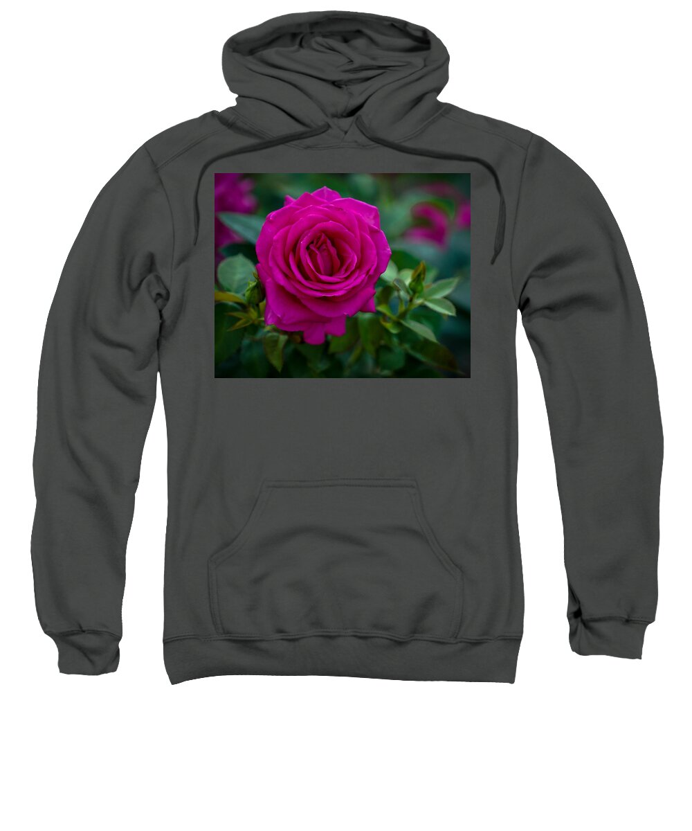 Rose Sweatshirt featuring the photograph Fuchsia Rose by Susan Rydberg