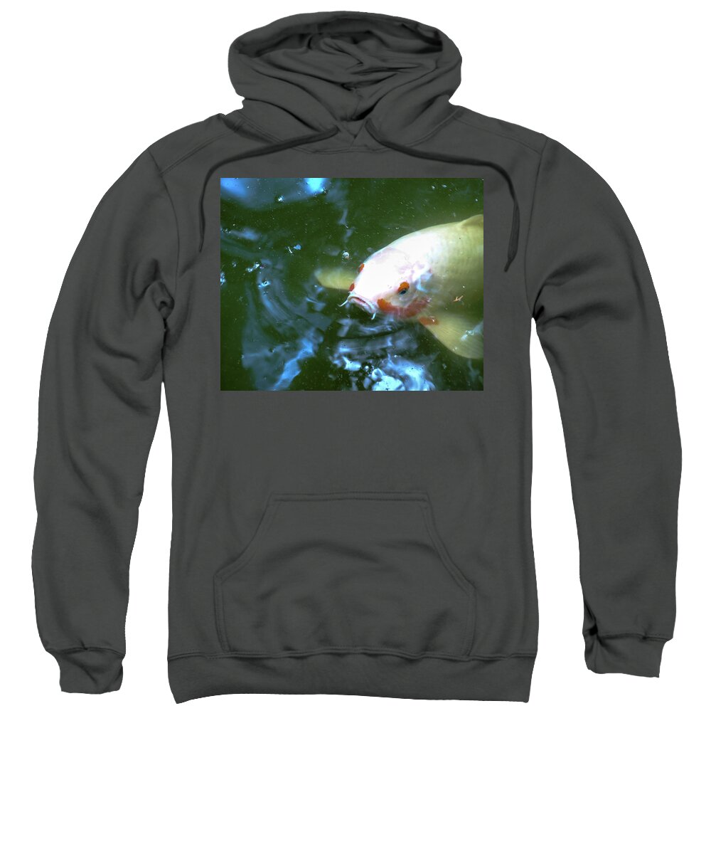 Fish Sweatshirt featuring the photograph Go Fish by C Winslow Shafer