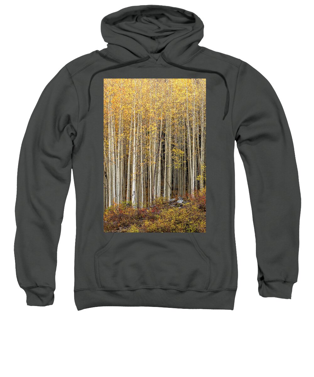 Colorado San Juans Sweatshirt featuring the photograph Gold Dust by Angela Moyer