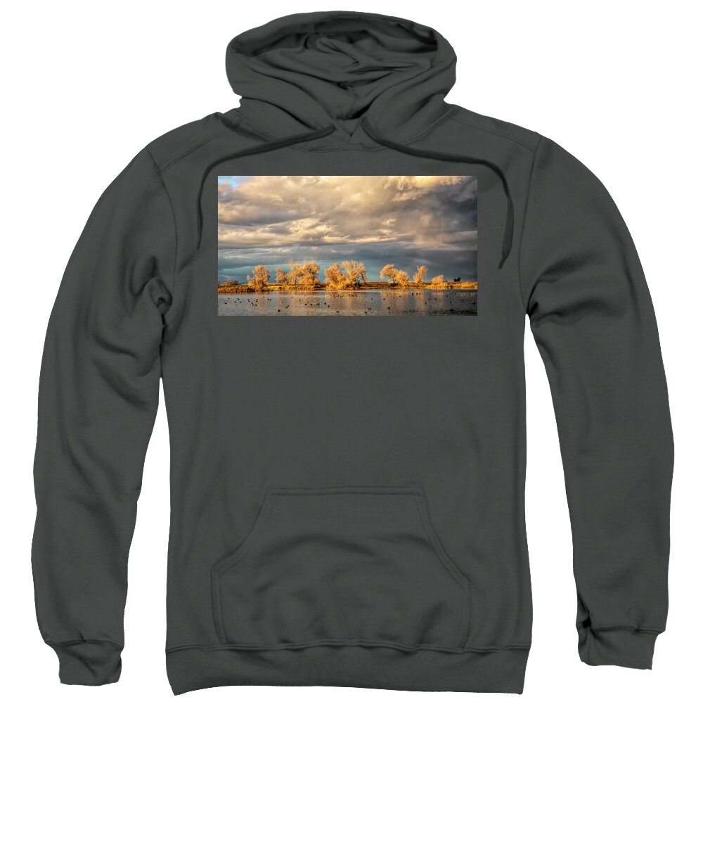 California Sweatshirt featuring the photograph Golden Hour in the Refuge by Cheryl Strahl