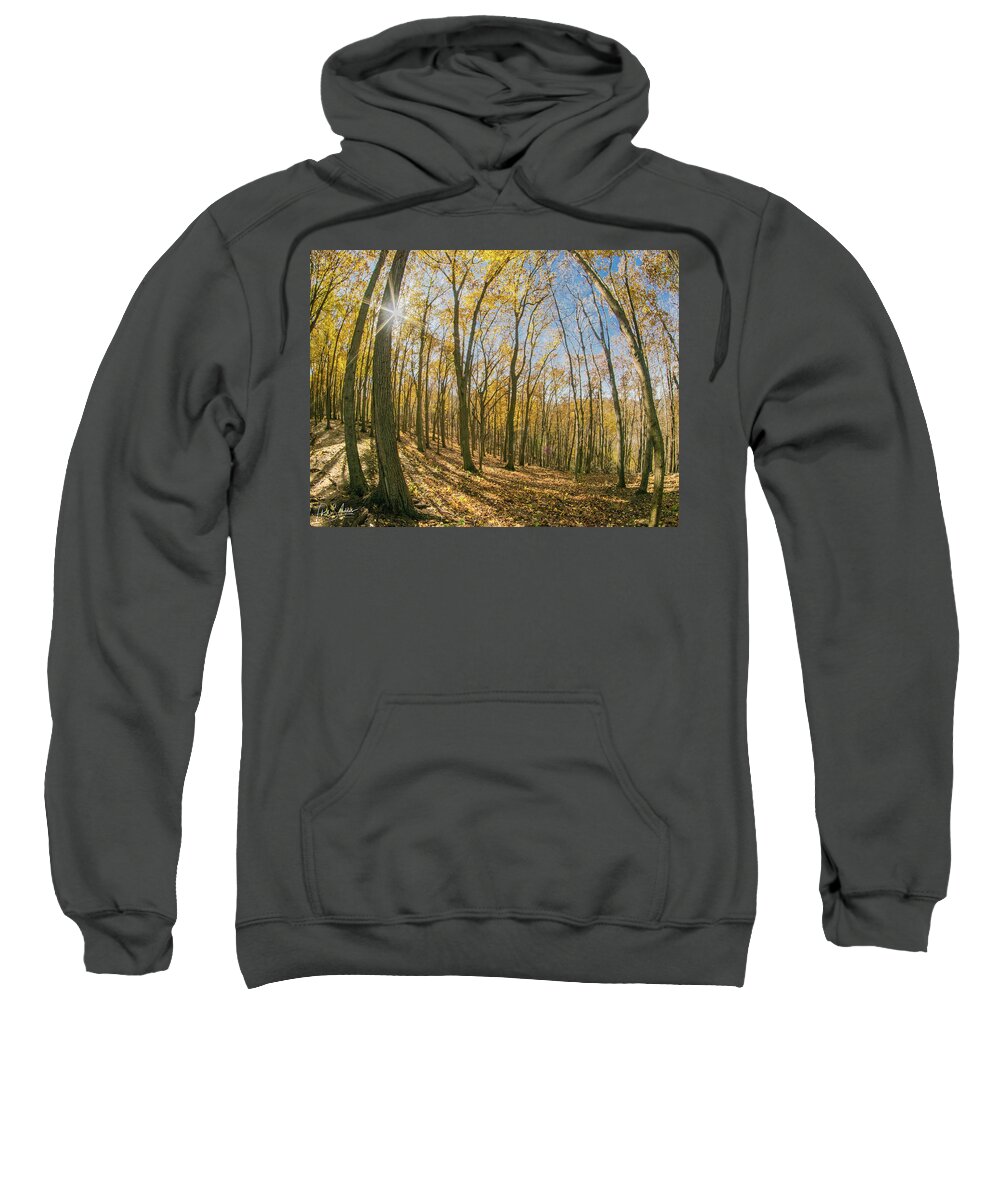 Golden Leaves Sweatshirt featuring the photograph Golden by Phil S Addis