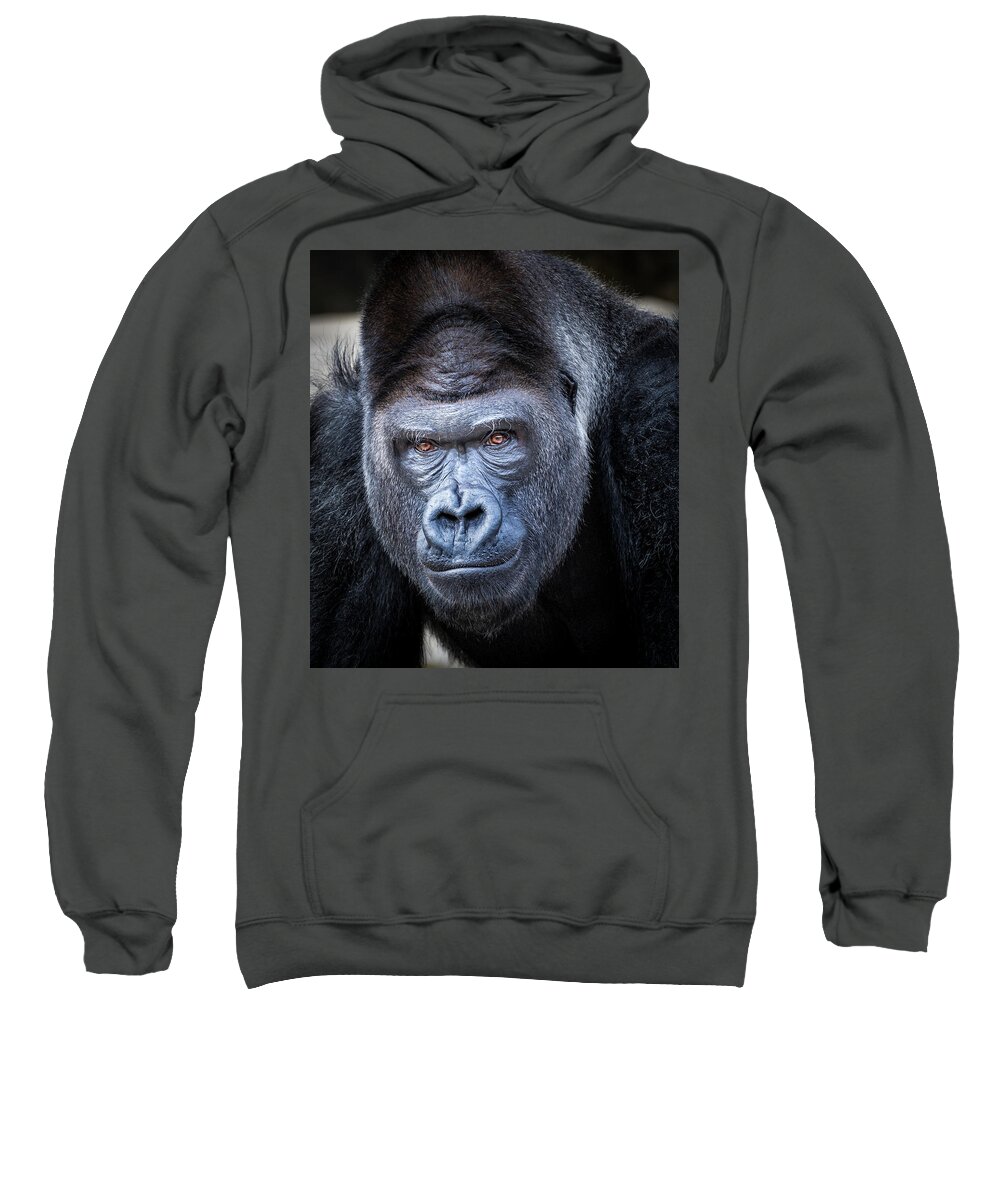Gorillas Sweatshirt featuring the photograph Gorrilla by Robert Bellomy