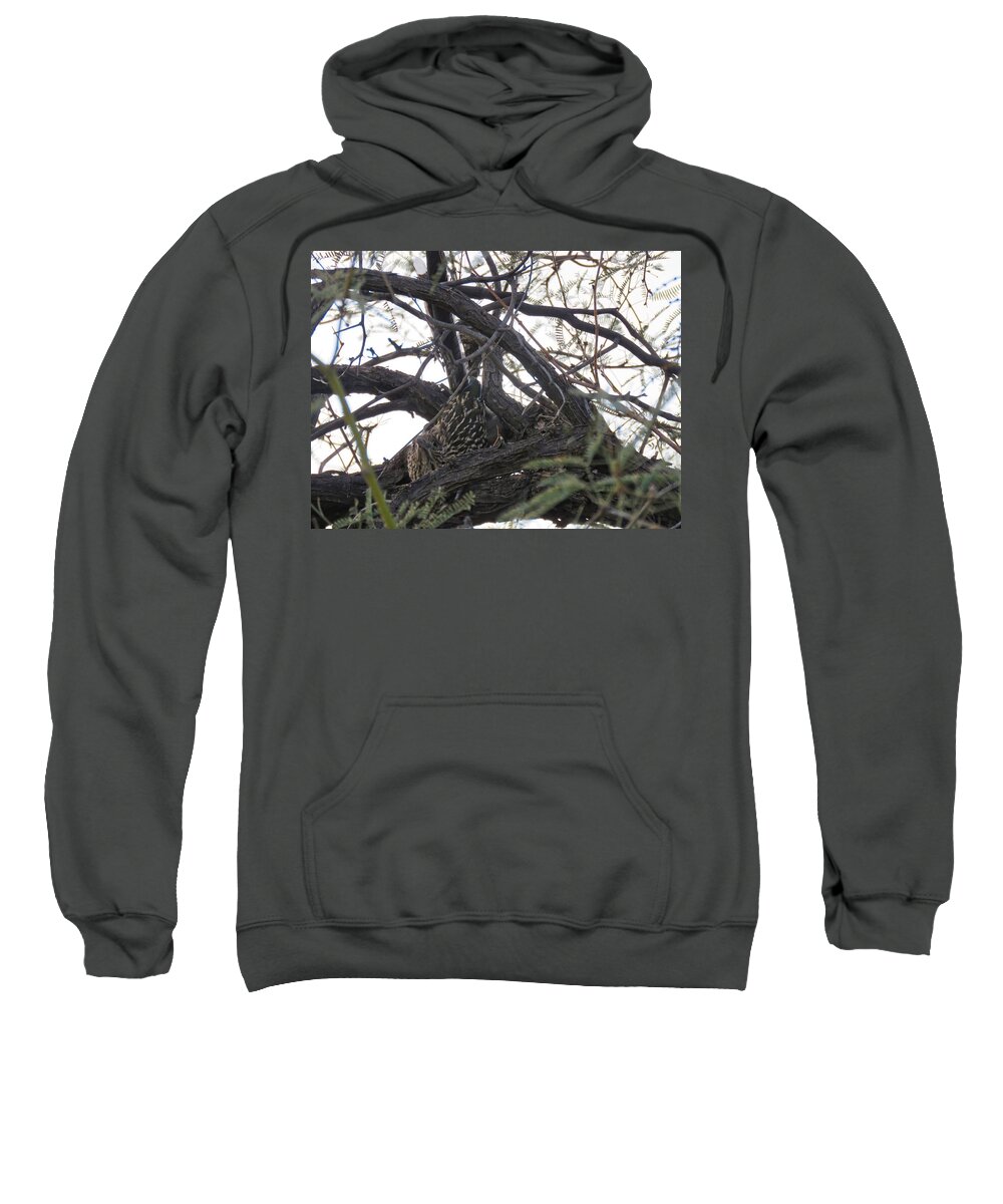 Affordable Sweatshirt featuring the photograph Greater Roadrunner Nesting in Mesquite Tree by Judy Kennedy