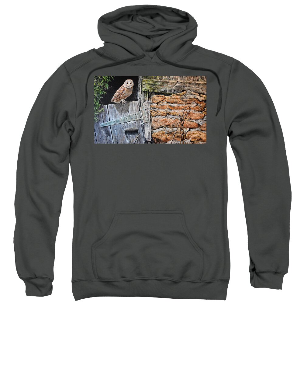 Paintings Sweatshirt featuring the painting Heading Out For Dinner - Barn Owl by Alan M Hunt by Alan M Hunt