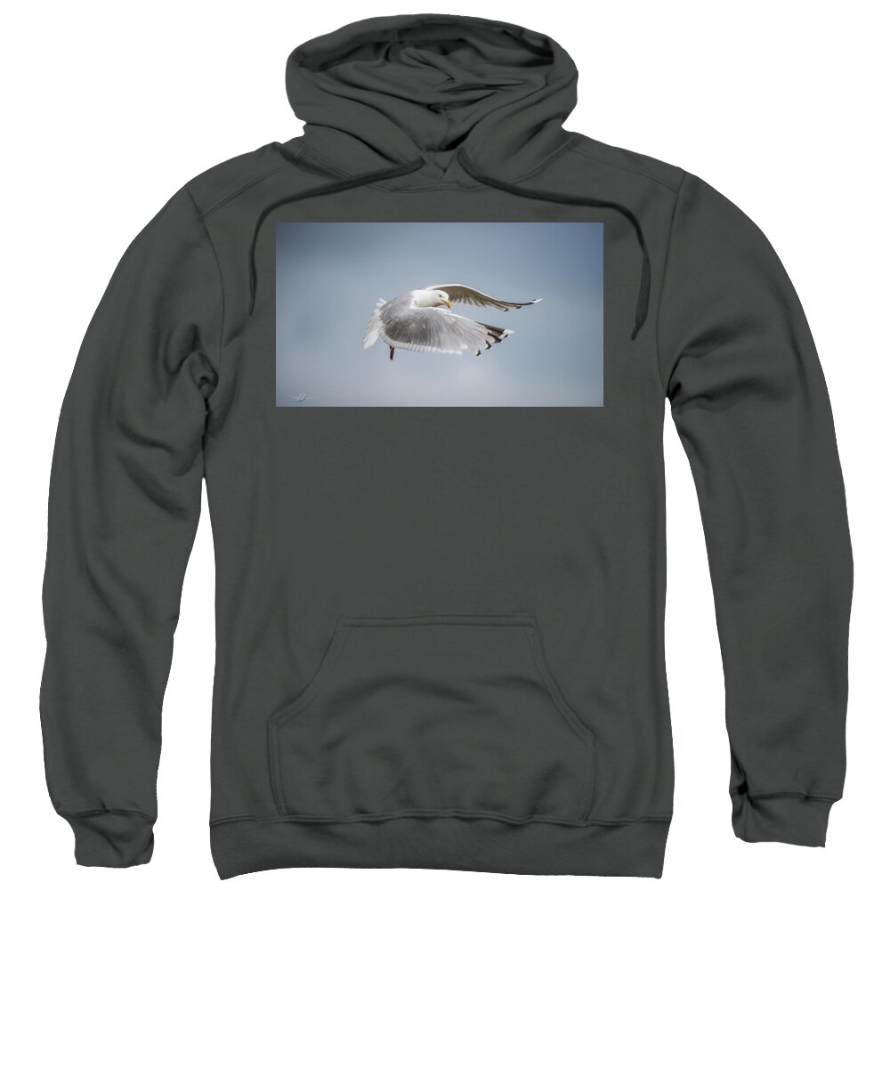 Herring Gull Sweatshirt featuring the photograph Herring Gull's flight by Torbjorn Swenelius