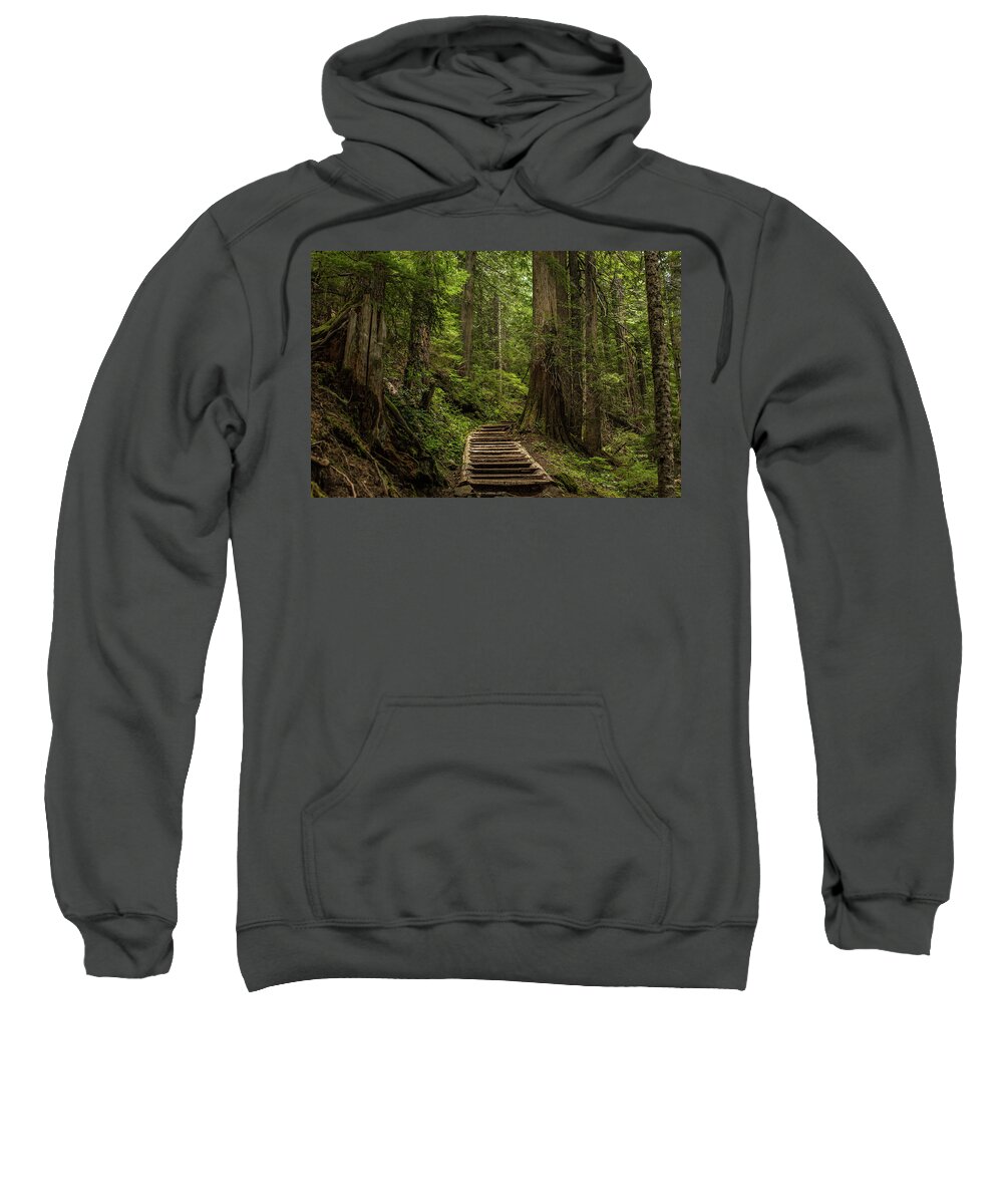 Hiking Trail Sweatshirt featuring the photograph Hiking in Mt. Rainier, Washington by Julieta Belmont