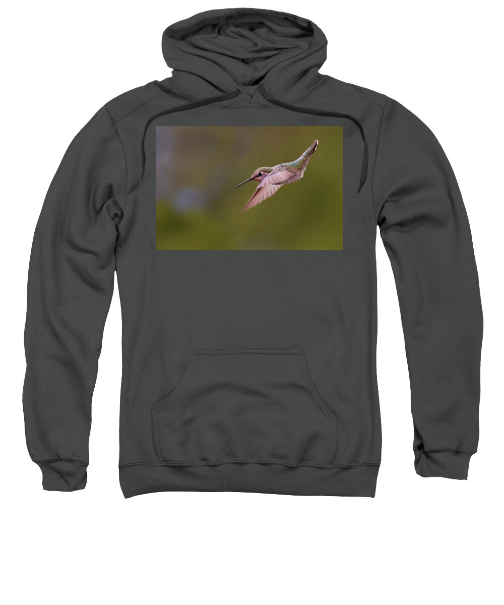 Hummingbirds Sweatshirt featuring the photograph Hummingbird #5 by David Lunde