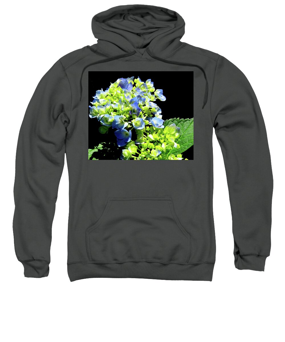 Flowers Sweatshirt featuring the photograph Hydrangea Blossoms by Linda Stern