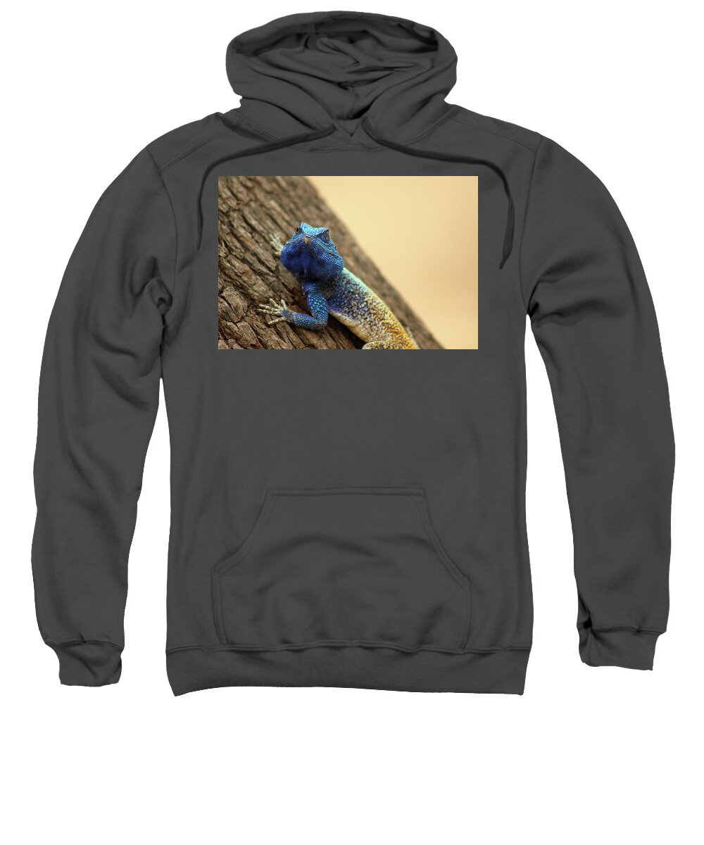  Sweatshirt featuring the photograph I am turning Blue ... by Eric Pengelly