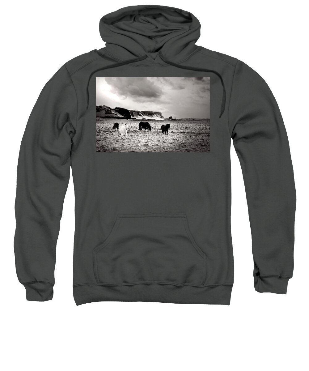 Iceland Sweatshirt featuring the photograph Icelandic Horses by Kathryn McBride