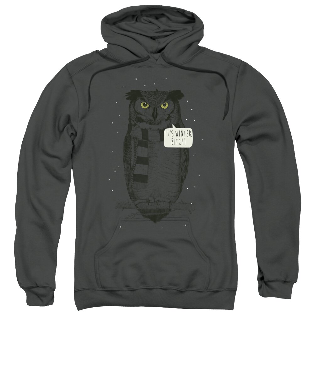 Owl Sweatshirt featuring the mixed media It's winter bitch by Balazs Solti