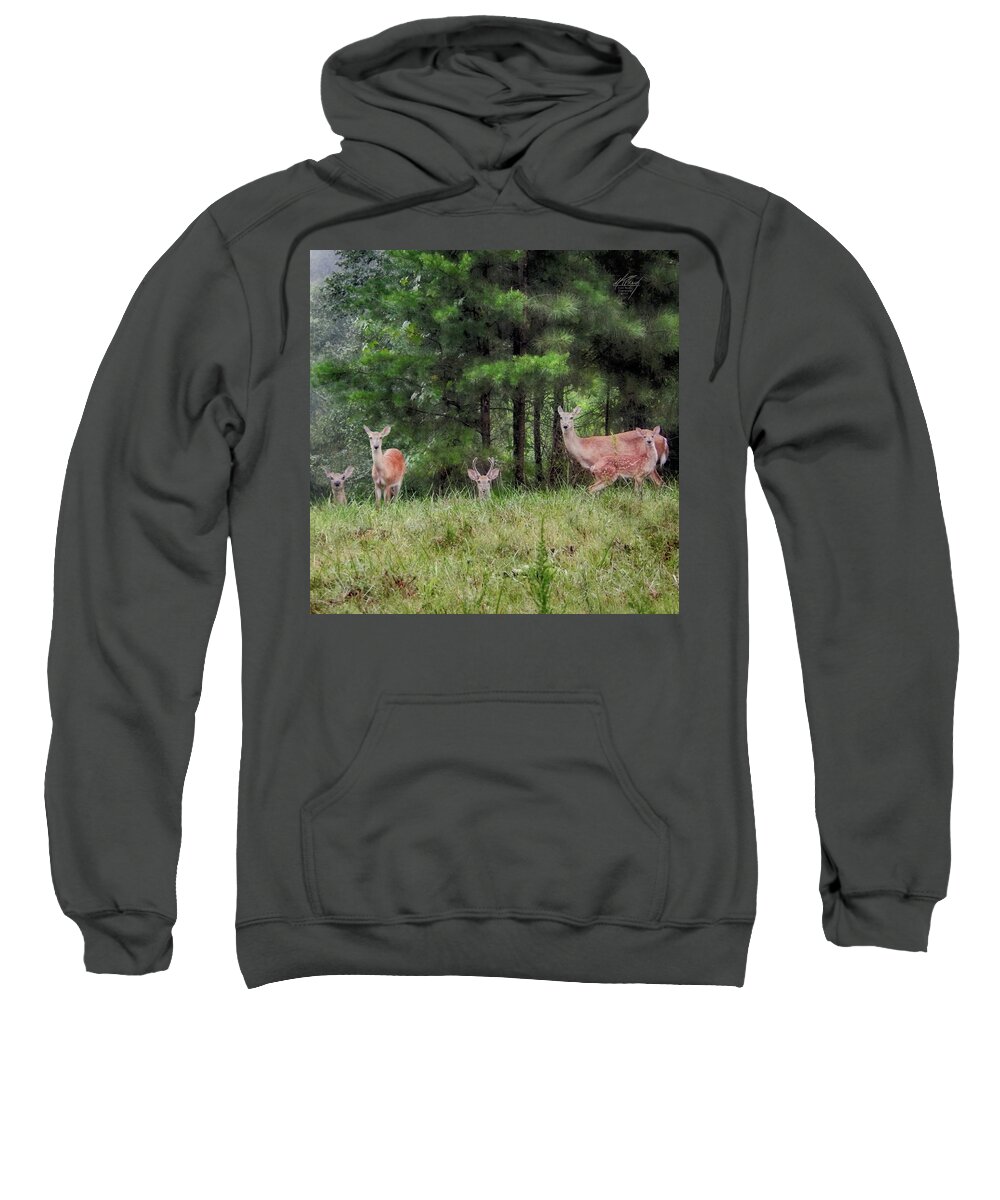Deer Sweatshirt featuring the photograph I've Been Spotted by Michael Frank