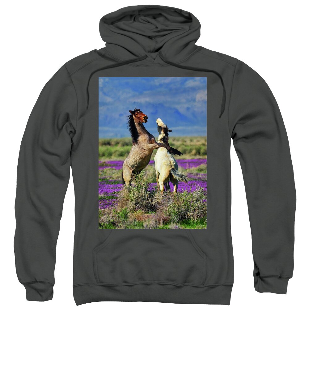 Wild Horses Sweatshirt featuring the photograph Just Horsing Around by Greg Norrell
