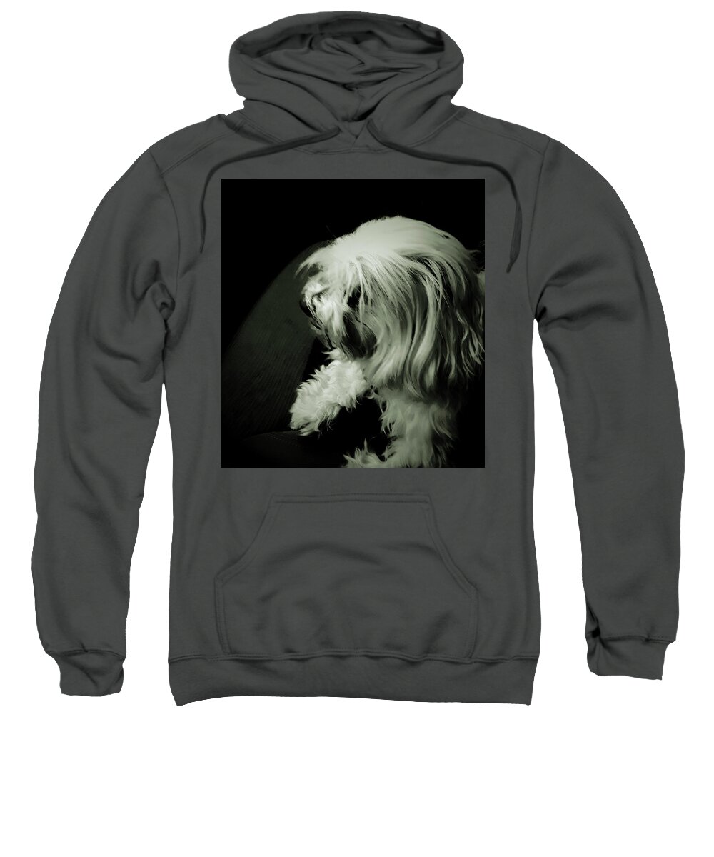 Pet Sweatshirt featuring the photograph Lacy 5 by C Winslow Shafer