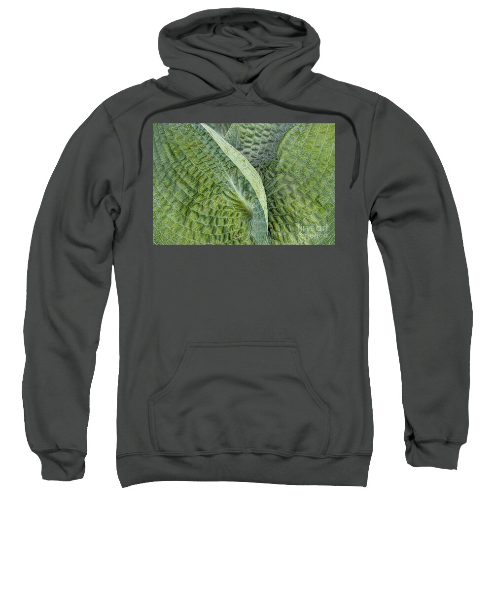 Abstracts Sweatshirt featuring the photograph Laughing Leaves by Marilyn Cornwell
