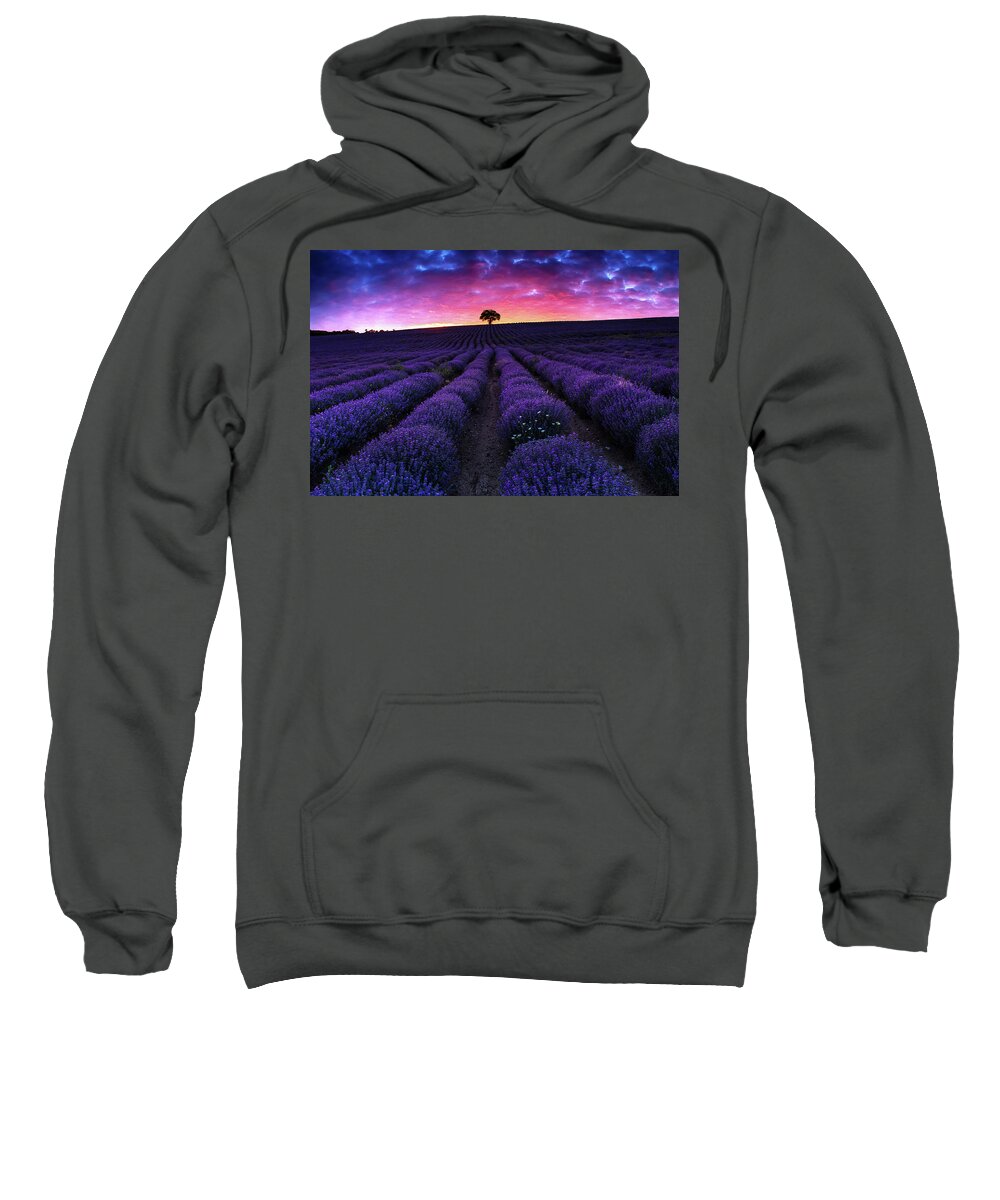 Afterglow Sweatshirt featuring the photograph Lavender Dreams by Evgeni Dinev