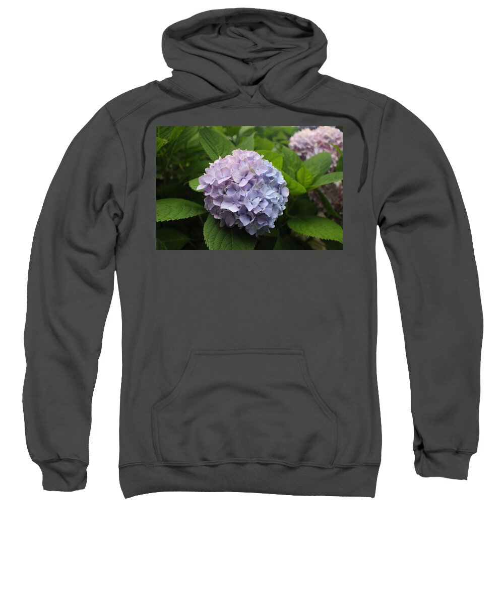 Lavender Sweatshirt featuring the photograph Lavender Hydrangea, Cape May by Christopher Lotito