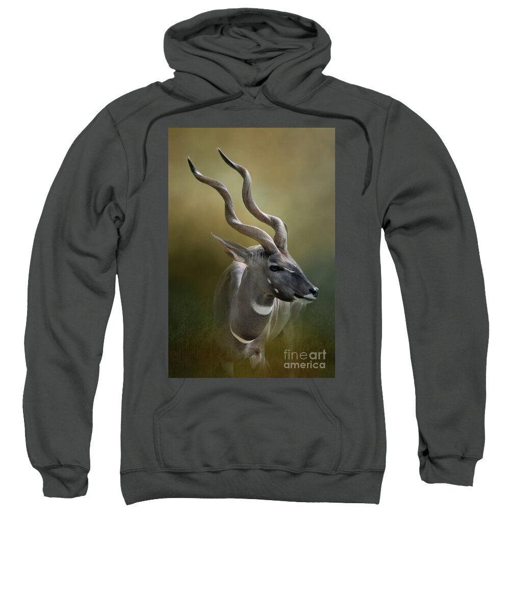 Zoo Sweatshirt featuring the photograph Lesser Kudu by Ed Taylor