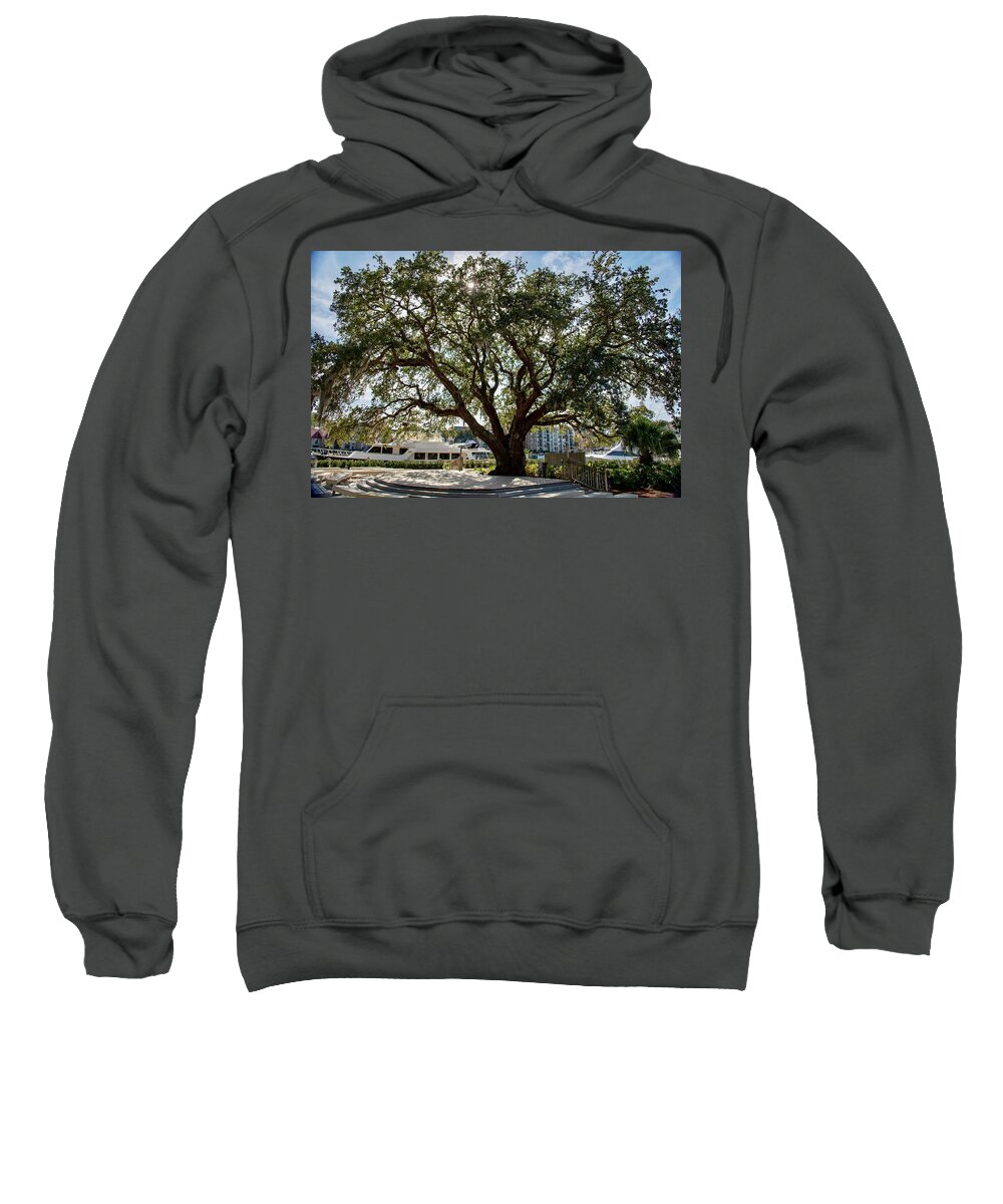 Liberty Oak Sweatshirt featuring the photograph Liberty Oak at Harbour Town by Dennis Schmidt