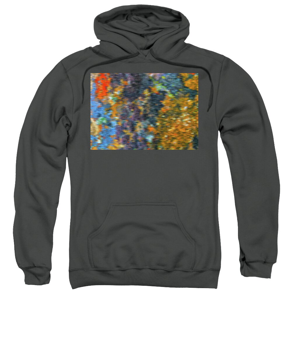 Lichen Sweatshirt featuring the photograph Lichen Abstract #1 by Jonathan Thompson