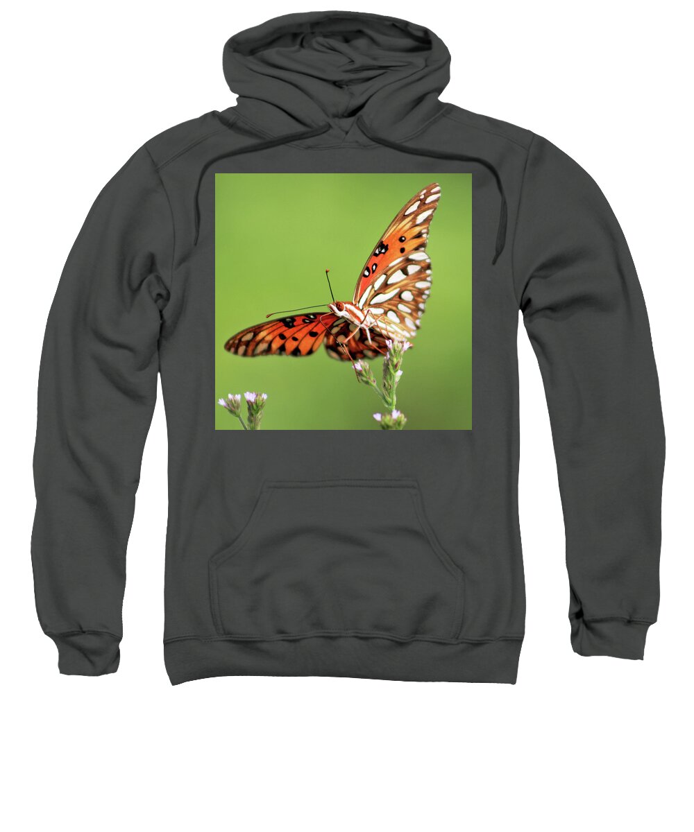 Butterfly Sweatshirt featuring the photograph Life in Balance by Michael Allard