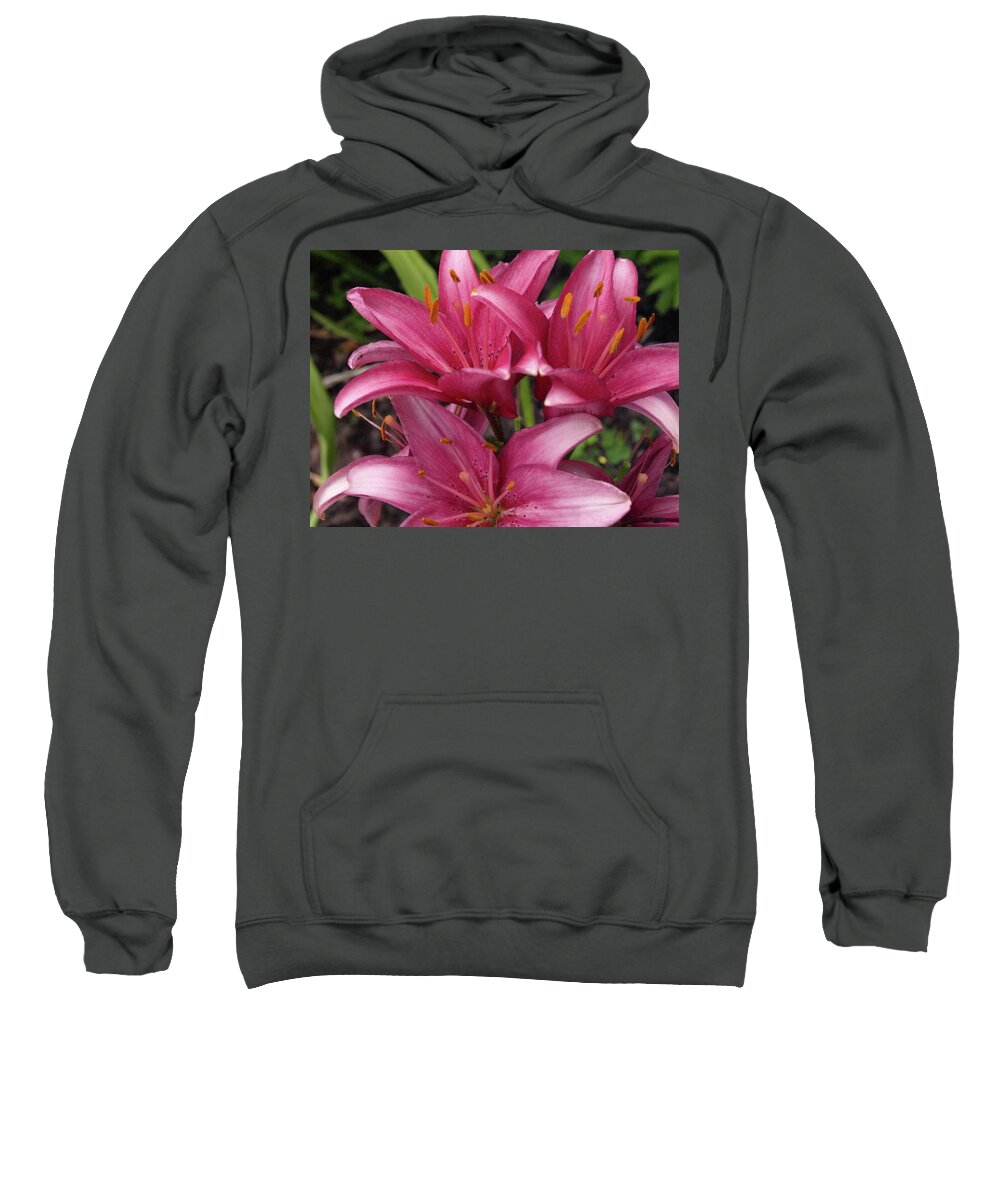 Lily Sweatshirt featuring the photograph Lilixplosion 3 by Jeffrey Peterson