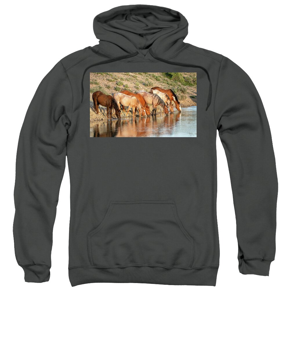 Horses Sweatshirt featuring the photograph Lineup at the Pond-- Wild Horses by Judi Dressler