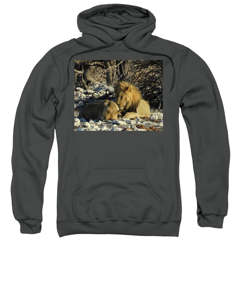  Sweatshirt featuring the photograph Lions by Eric Pengelly