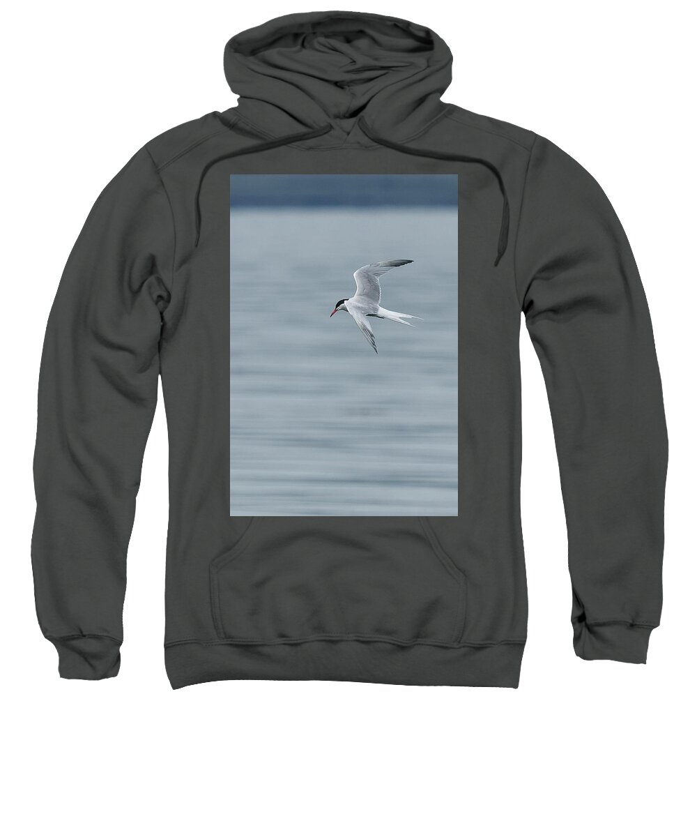 Birds Sweatshirt featuring the photograph Little Arrow 2 by Wendy Cooper
