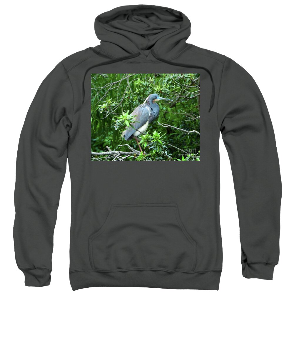 Little Blue Heron Sweatshirt featuring the photograph Little Blue Heron II by Scott Cameron