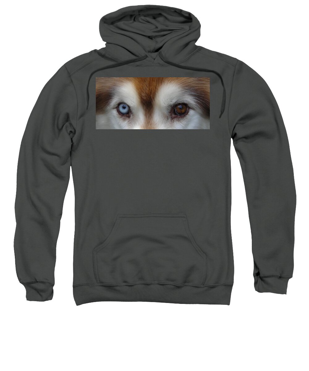 Eyes Sweatshirt featuring the photograph Look Into My Eyes..... by Jimmy Chuck Smith