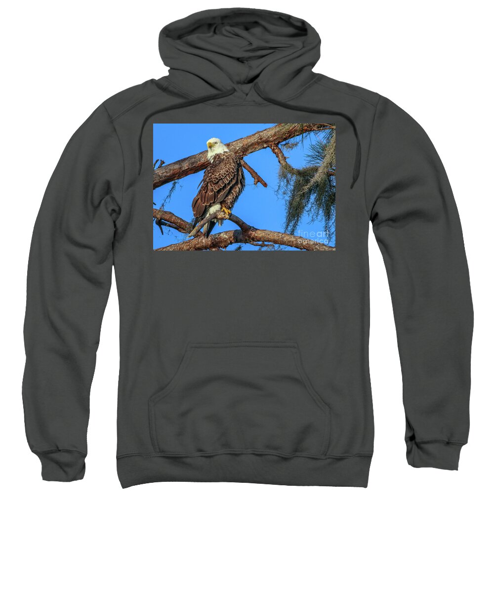 Eagle Sweatshirt featuring the photograph Lookout Eagle by Tom Claud