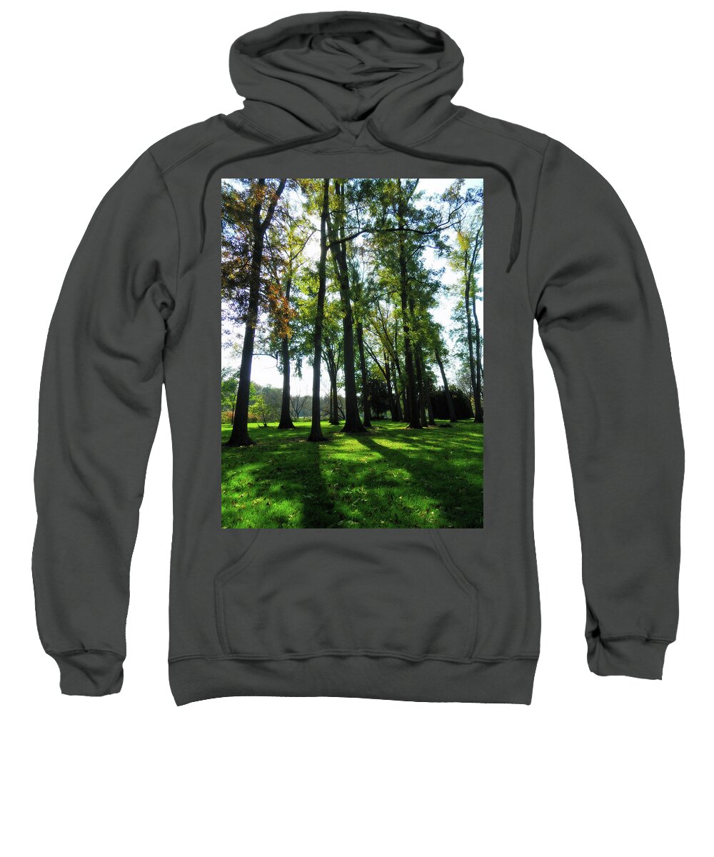 Lulling In The Day Sweatshirt featuring the photograph Lulling In The Day by Cyryn Fyrcyd