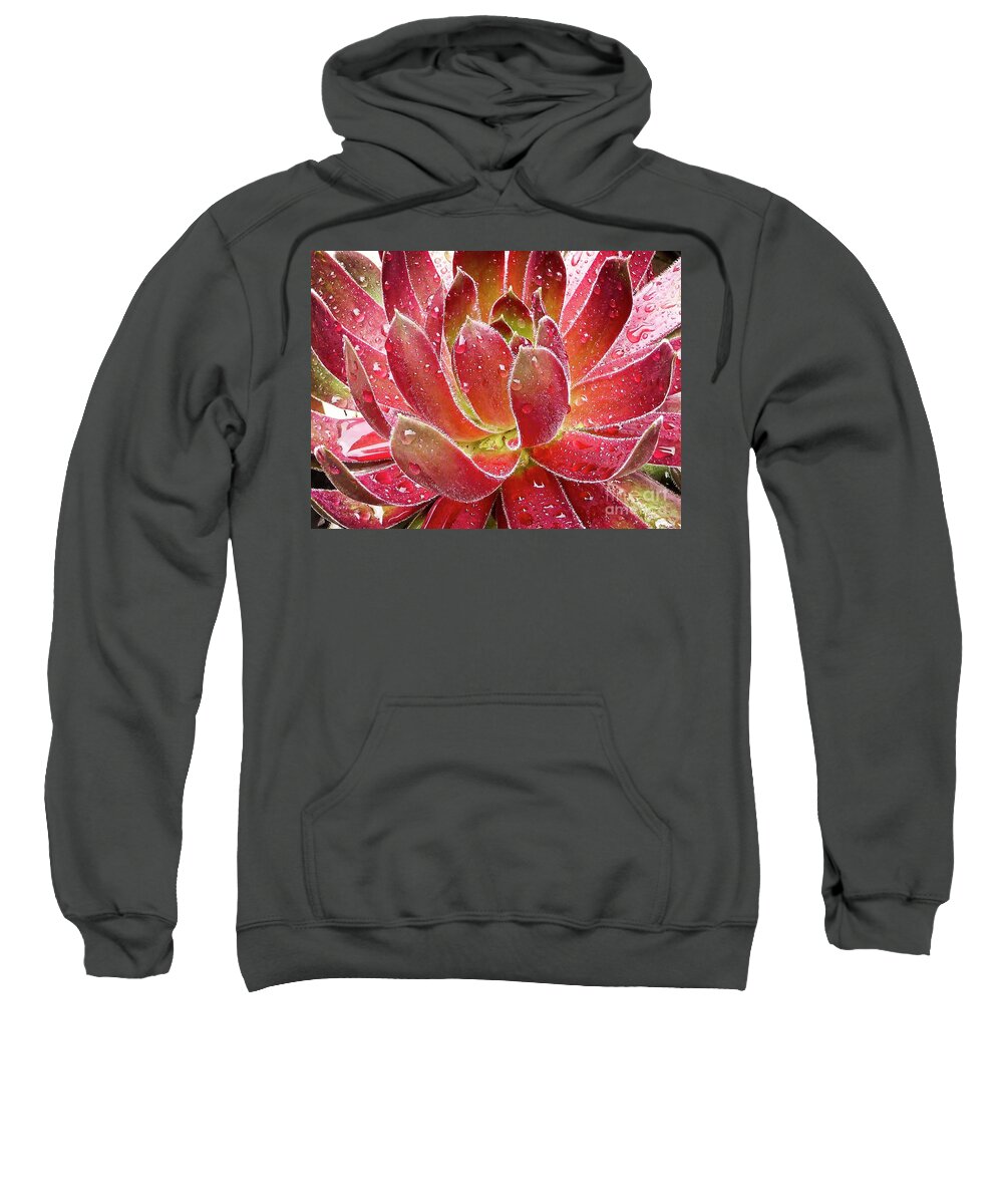 Sempervivum Inferno Sweatshirt featuring the photograph Magical Succulent by Fran Woods