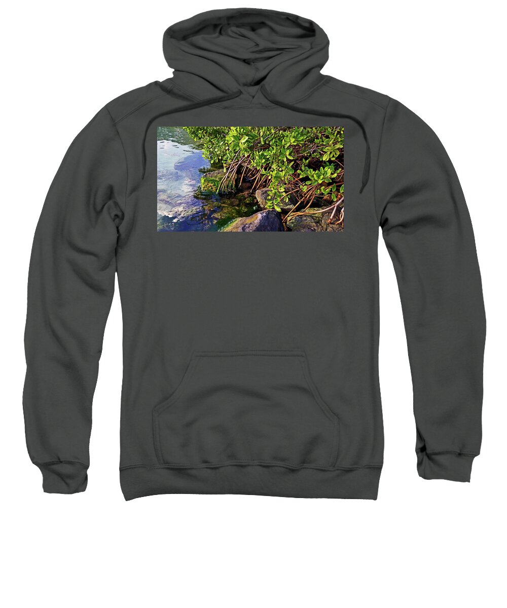 Mangrove Sweatshirt featuring the photograph Mangrove Bath by Climate Change VI - Sales