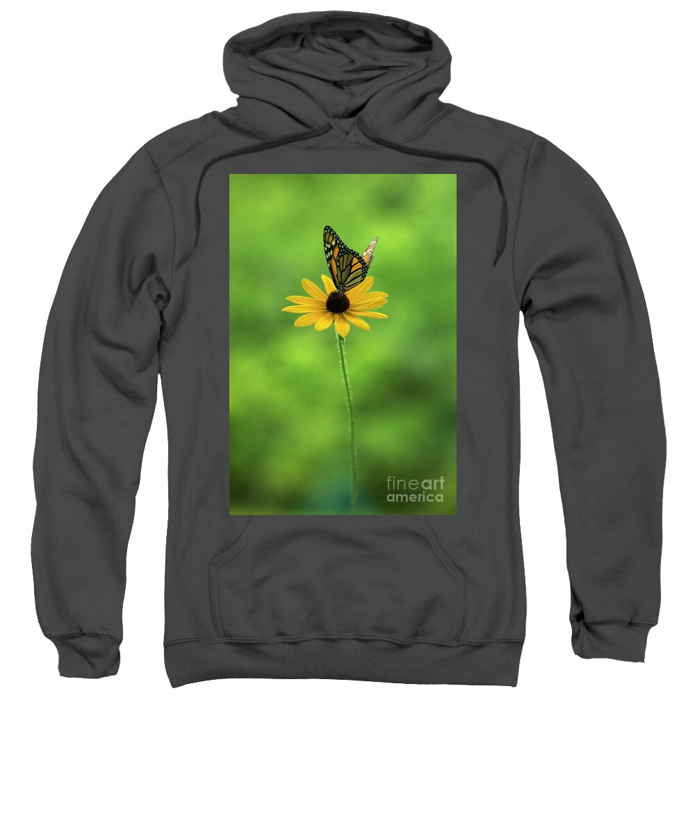 Butterfly Sweatshirt featuring the photograph Monarch Butterfly by Diane Diederich