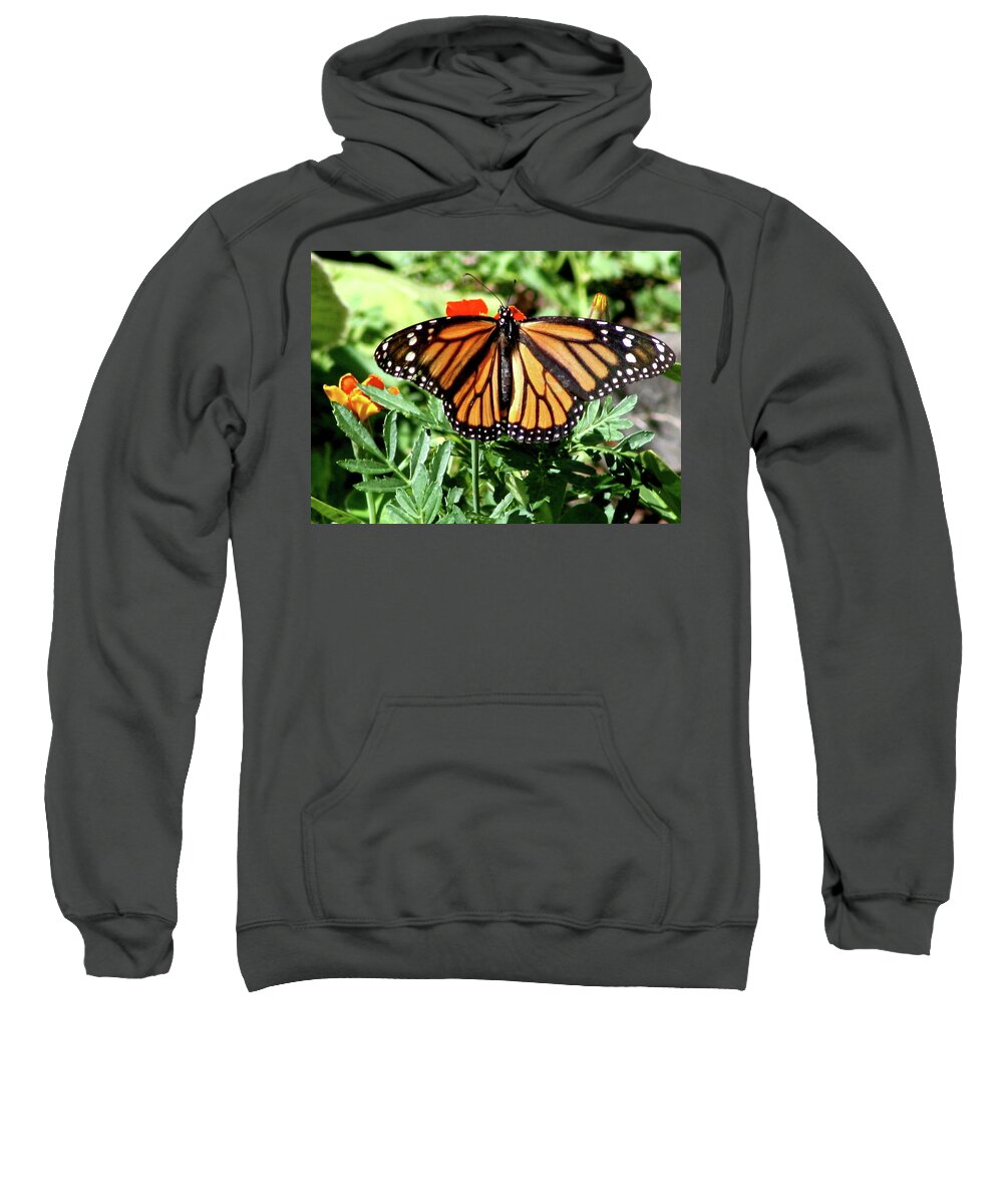 Butterfly Sweatshirt featuring the photograph Monarchy by Misty Morehead