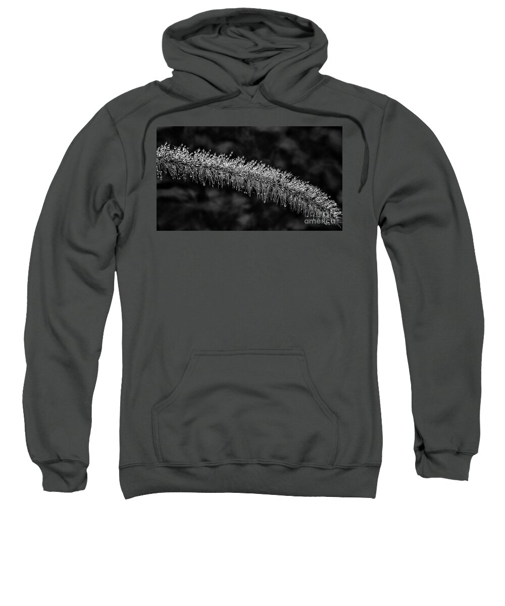 Drop Sweatshirt featuring the photograph Morning dew BW by Lyl Dil Creations