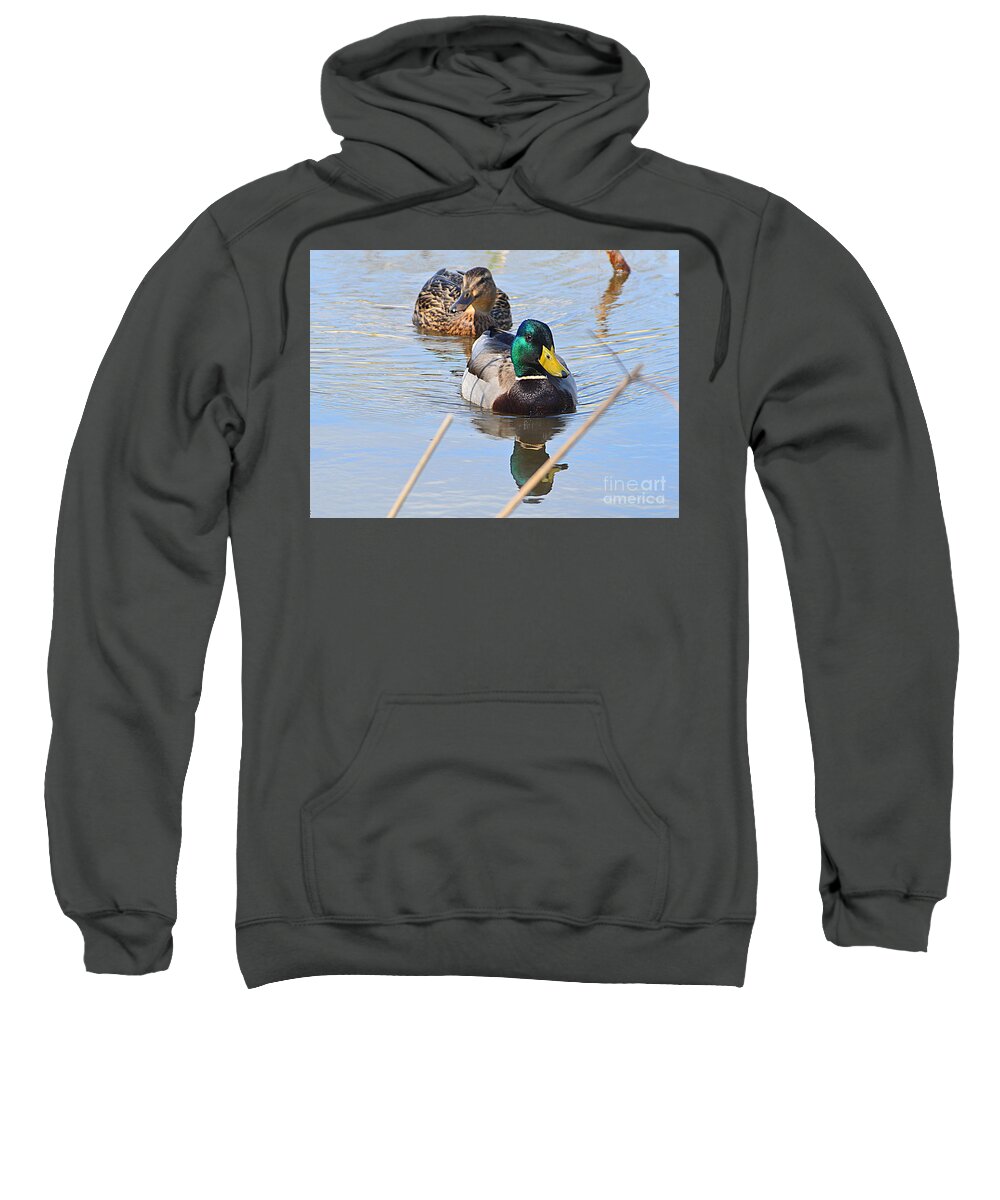 Mr And Mrs Duck Sweatshirt featuring the photograph Mr and Mrs Duck by Andy Thompson