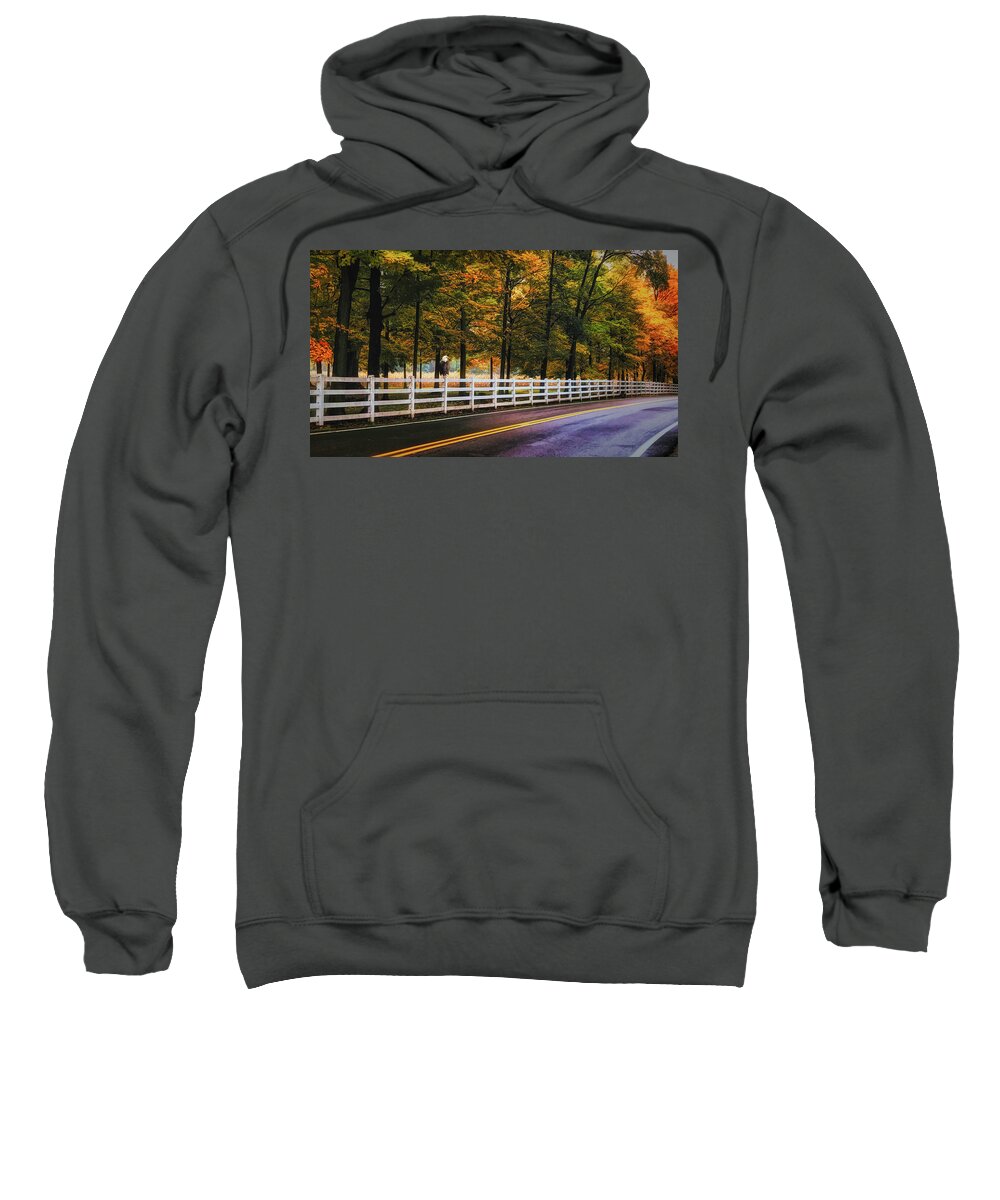  Sweatshirt featuring the photograph My Favorite Season by Jack Wilson