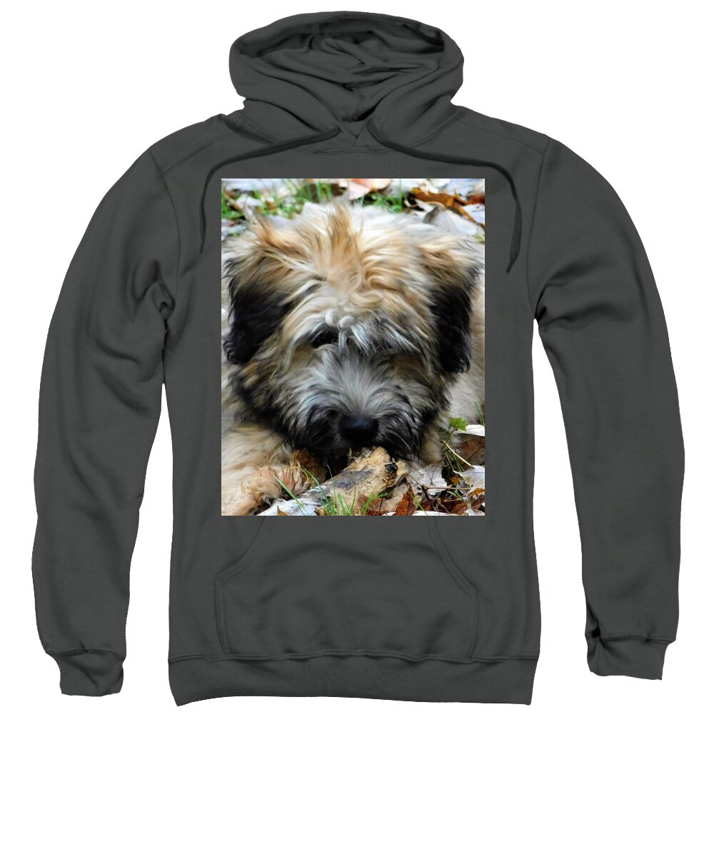 Wheaten Terrier Puppy Sweatshirt featuring the photograph - My stick by THERESA Nye