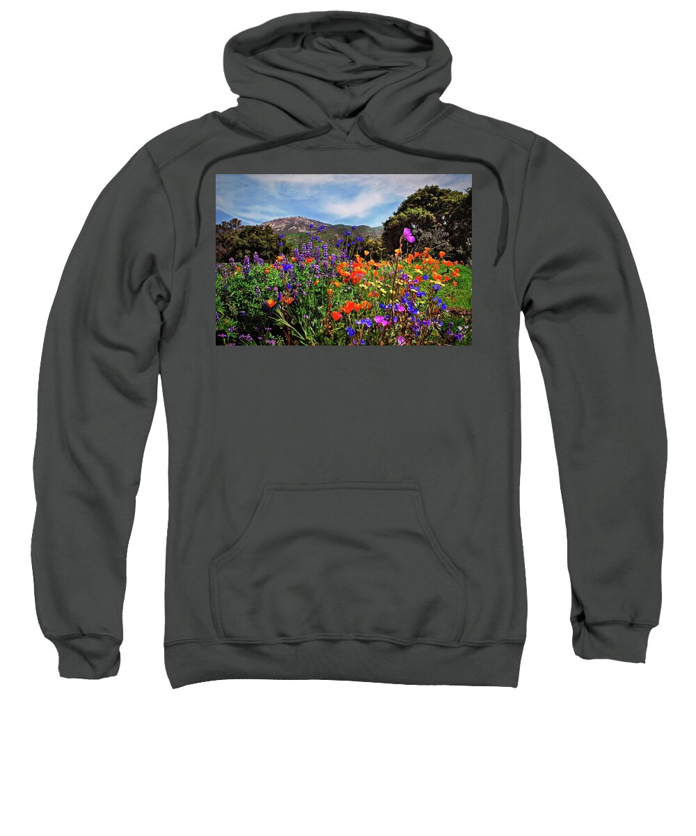 Wildflowers Sweatshirt featuring the photograph Nature's Bouquet by Lynn Bauer