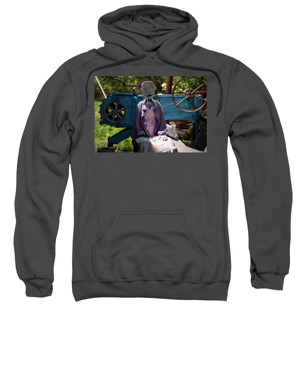 Whimsical Sweatshirt featuring the photograph Nervous Nellie by Vicky Edgerly