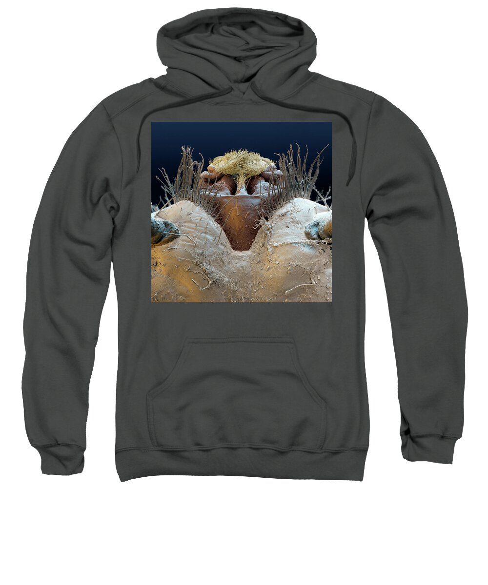 Animal Sem Sweatshirt featuring the photograph Net-winged Midge Mouth, Sem by Eye Of Science