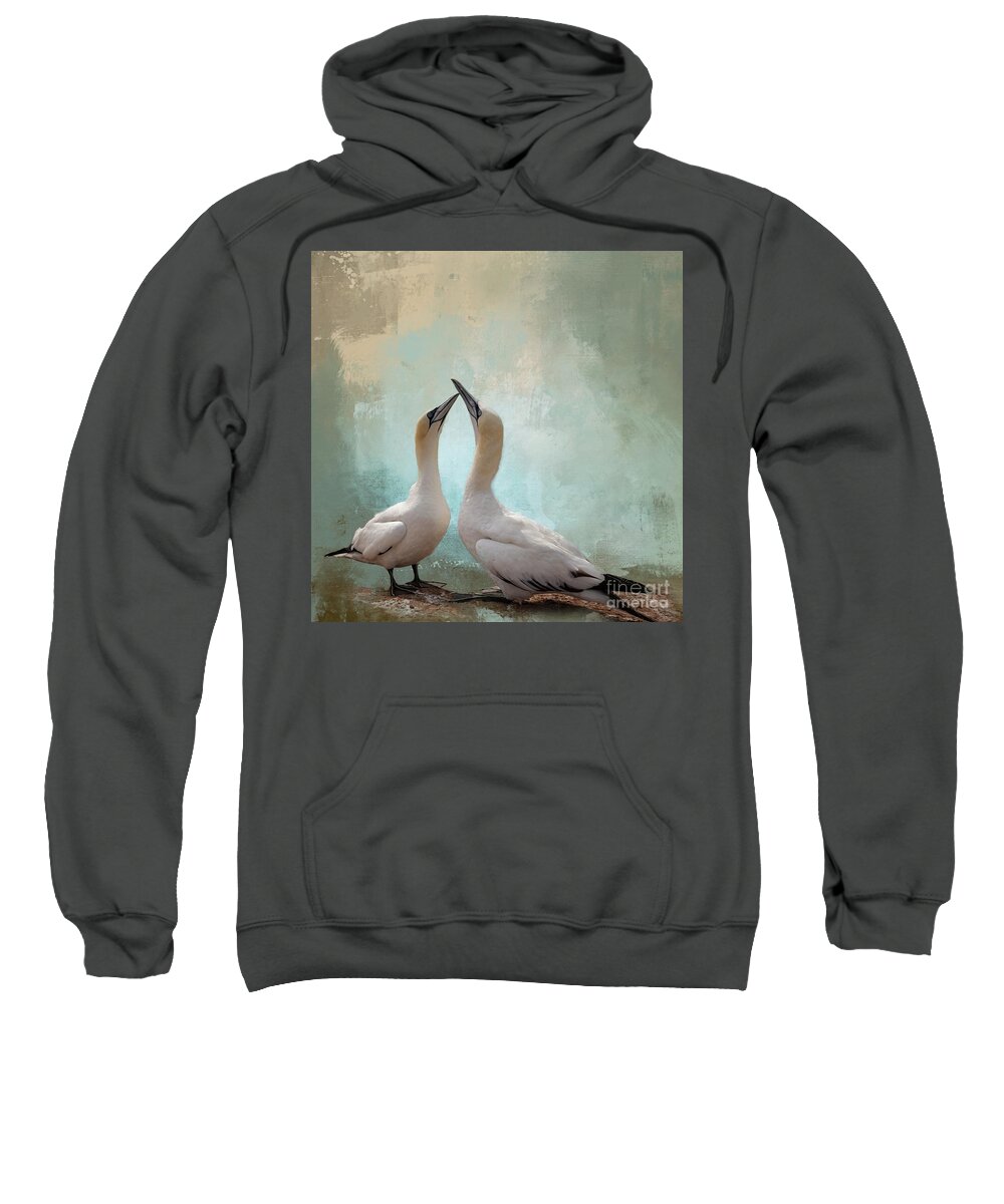 Northern Gannet Sweatshirt featuring the photograph Northern Gannets by Eva Lechner